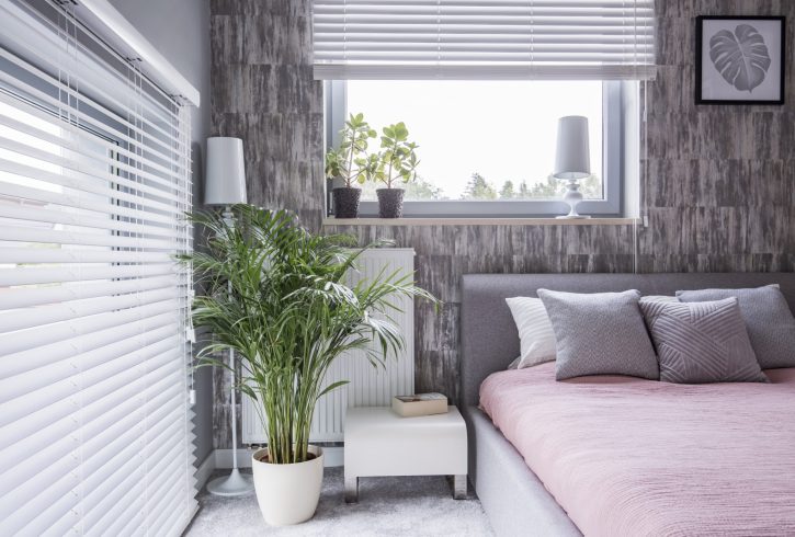 Grijze slaapkamer met een bed, kussens, grote plant en jaloezieën.