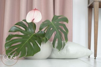 Roze gordijn achter plant en sierkussen